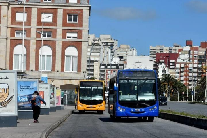 A $ 1200 subió el boleto de colectivo en Mar del Plata