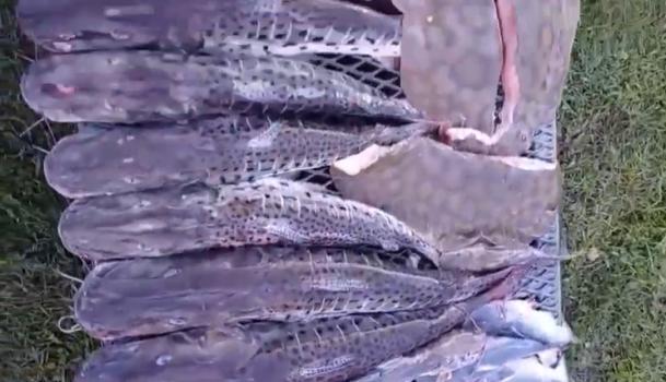 Multa millonaria a dos pescadores de Córdoba