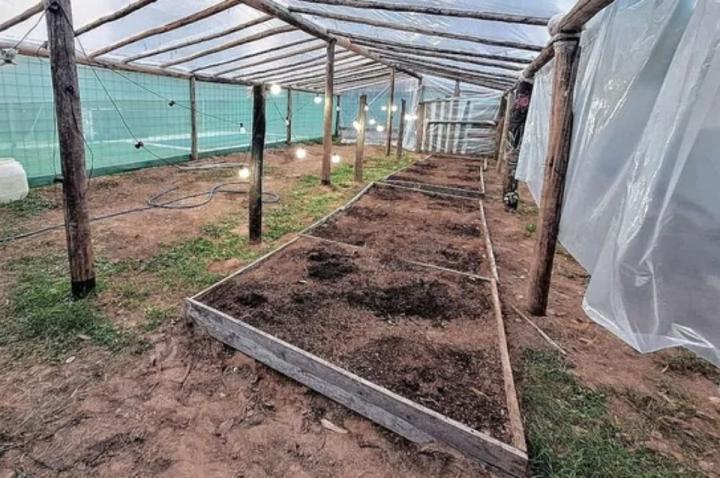 Empleado de la EPE cultivaba marihuana en su casa