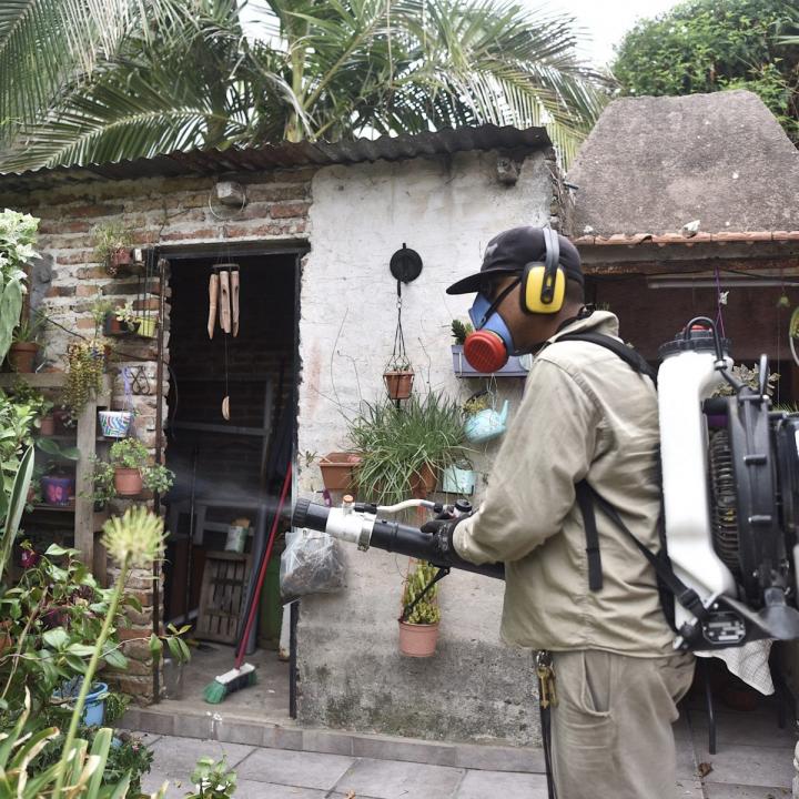 Dengue: hay más de 25 mil casos confirmados en Santa Fe