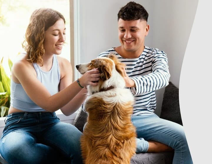 Proponen otorgar un día de licencia por la muerte de una mascota