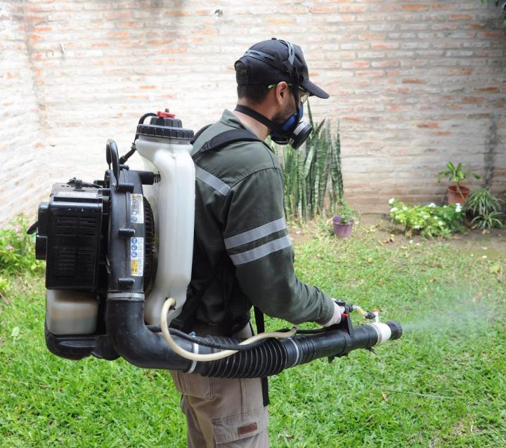 Dengue: gran descenso de casos en la ciudad de Santa Fe