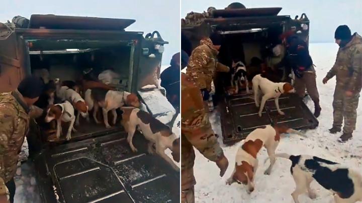 El Ejército rescató a un peón y sus 13 perros de una cabaña