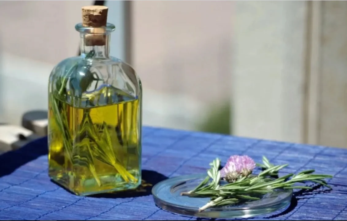 Cuáles son los beneficios de tomar caña con ruda 