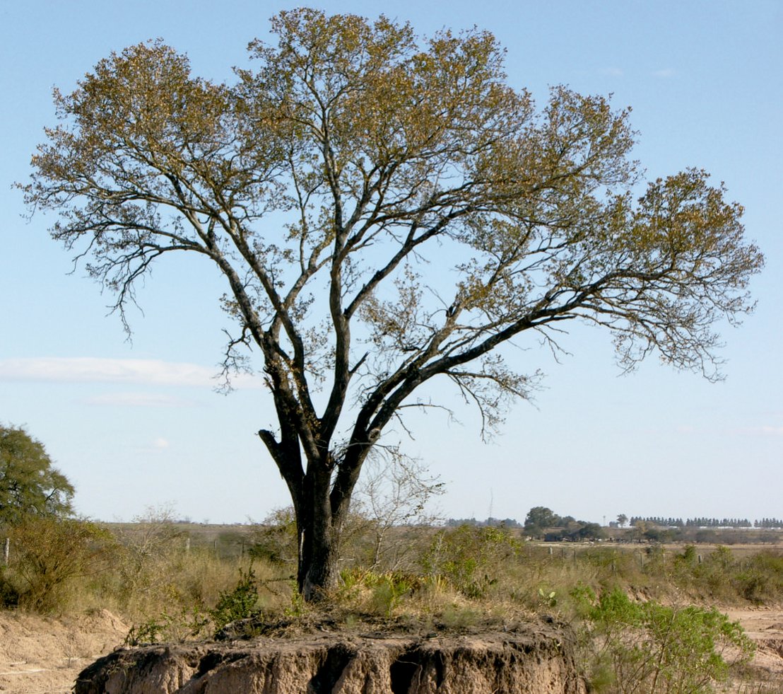 Santa Fe, Provincia del Espinal
