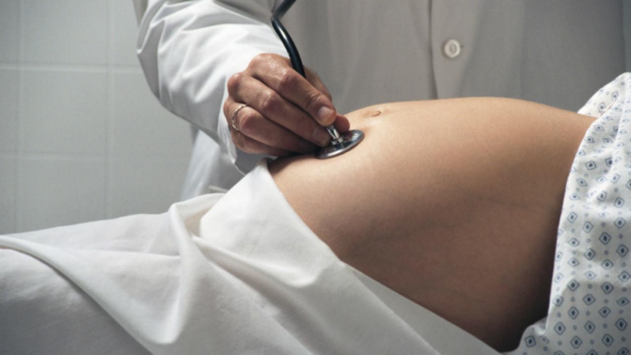 Día de la Obstetricia y de la Embarazada 