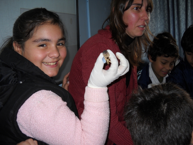 Santa Fe celebrará la Primavera Cientifica