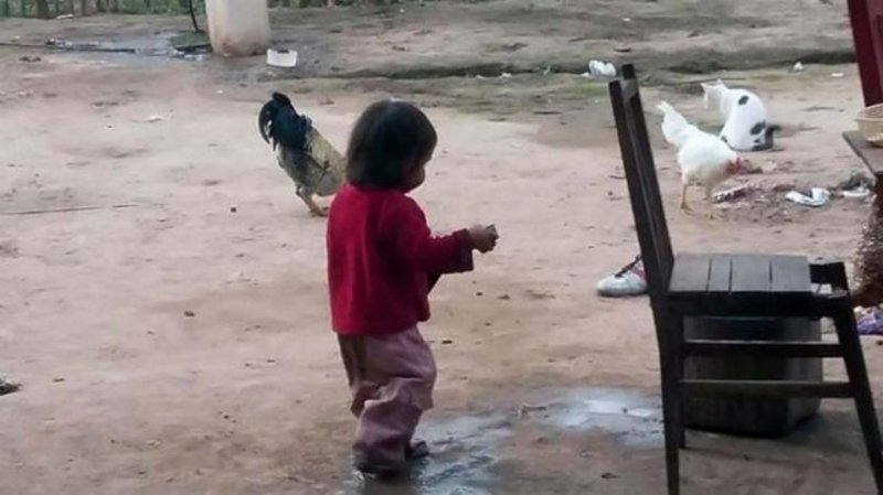 Salta: “Se van a morir 11 niños y un poquito más” 