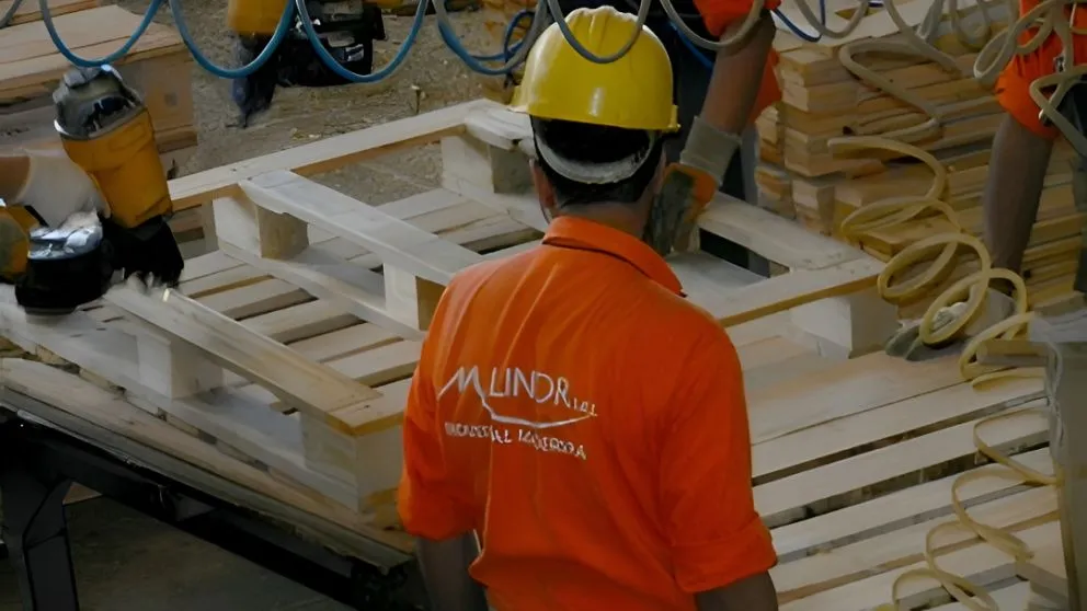 Cerró una histórica fábrica de pallets: 130 trabajadores en la calle
