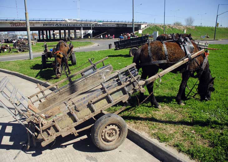 El desafío de dejar el carro por un trabajo digno