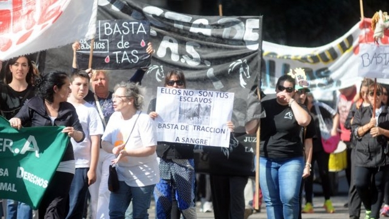Santa Fe marchará contra el maltrato animal