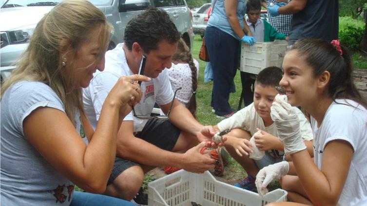 Celebran el nacimiento de yacarés