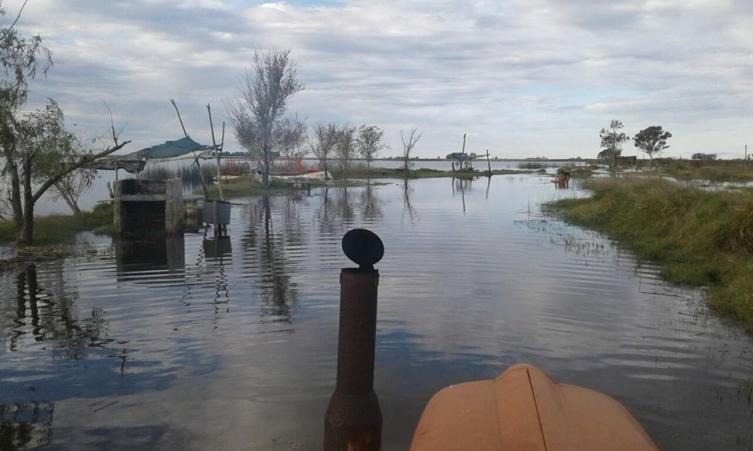 Freyre: “Estamos atravesando una situación límite” 