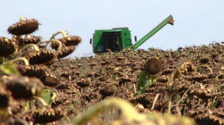 Condenan a empresa por explotación laboral en Santa Fe