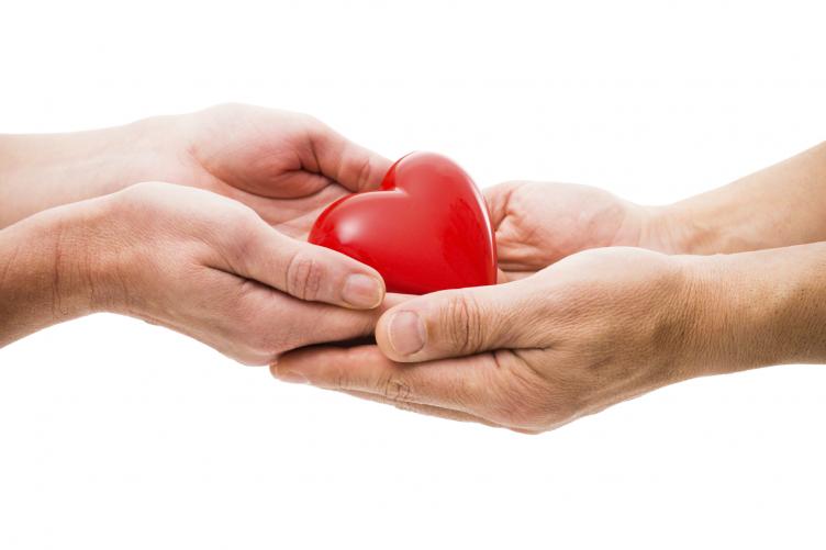 Santafesinos podrán votar por la donación de órganos