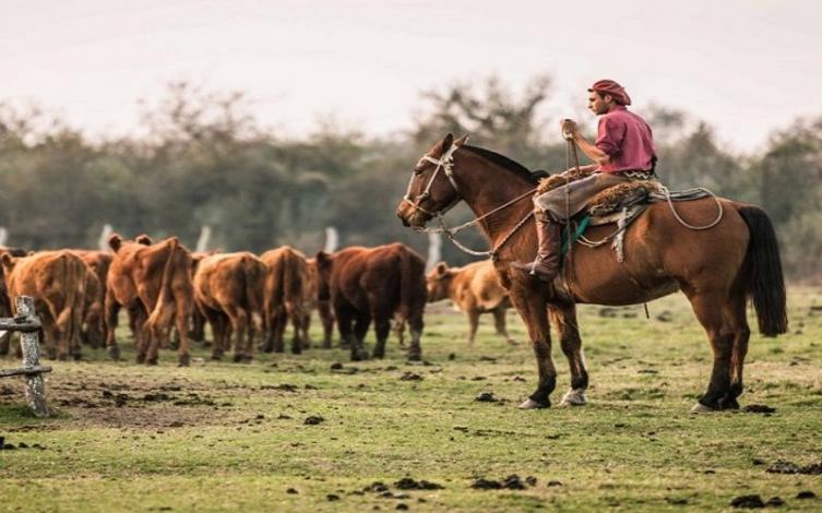 El 60 % de los trabajadores rurales está en negro