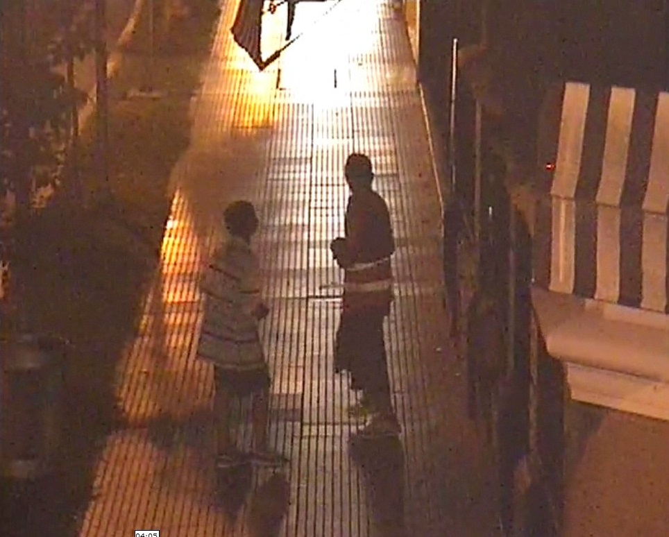 Cámaras de seguridad: detienen a dos personas por robo