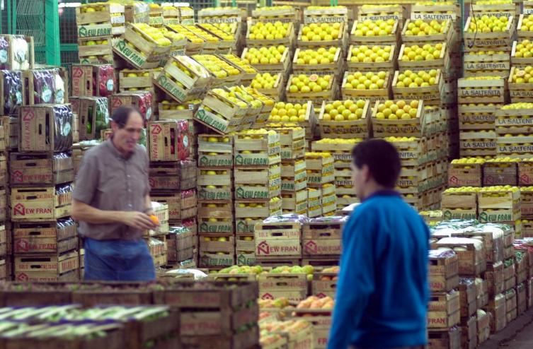 Hallan agrotóxicos en verduras que se venden en Rosario